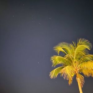 Meet your Posher, Eva